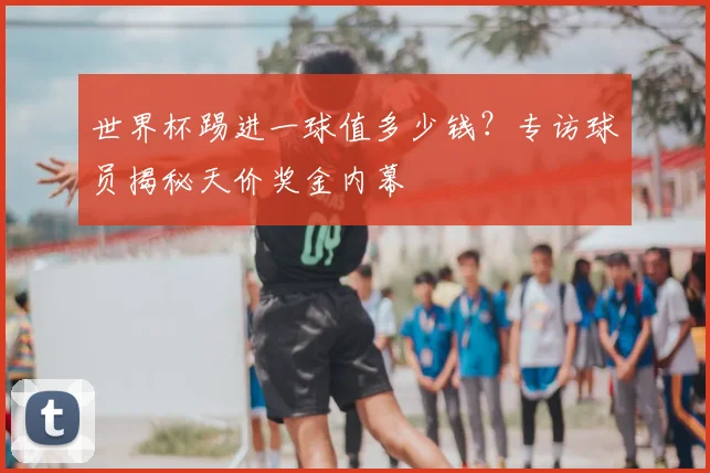 世界杯踢进一球值多少钱？专访球员揭秘天价奖金内幕