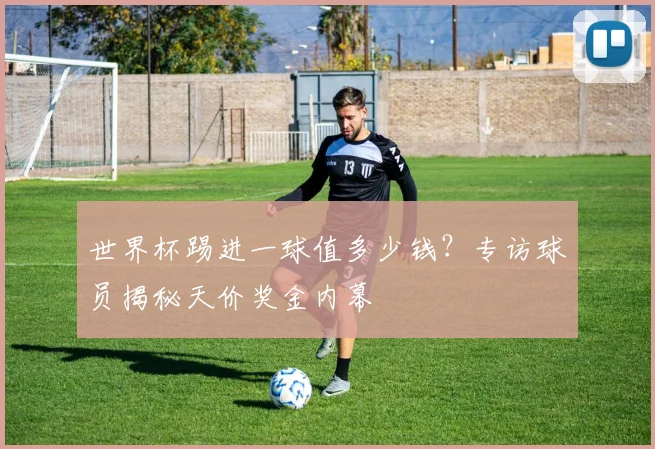 世界杯踢进一球值多少钱？专访球员揭秘天价奖金内幕