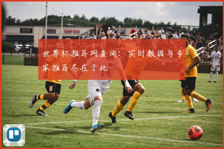 世界杯推荐网查询：实时数据与专家推荐尽在于此