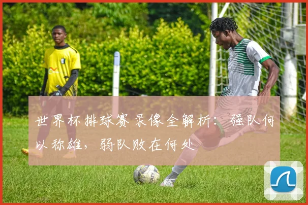 世界杯排球赛录像全解析：强队何以称雄，弱队败在何处