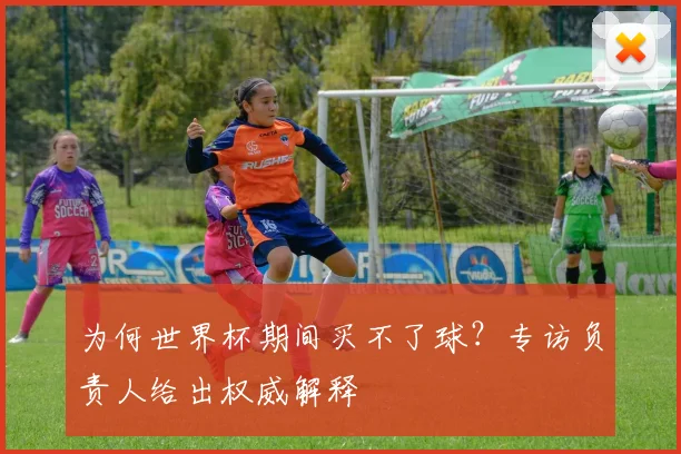 为何世界杯期间买不了球？专访负责人给出权威解释
